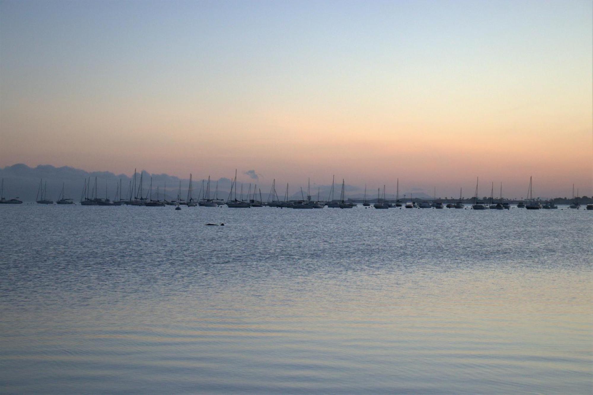 Sunny Paradise By Pinos Holidays *